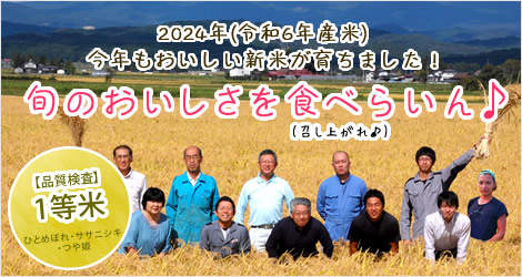 2024年(令和6年産米) 今年もおいしい新米が育ちました！