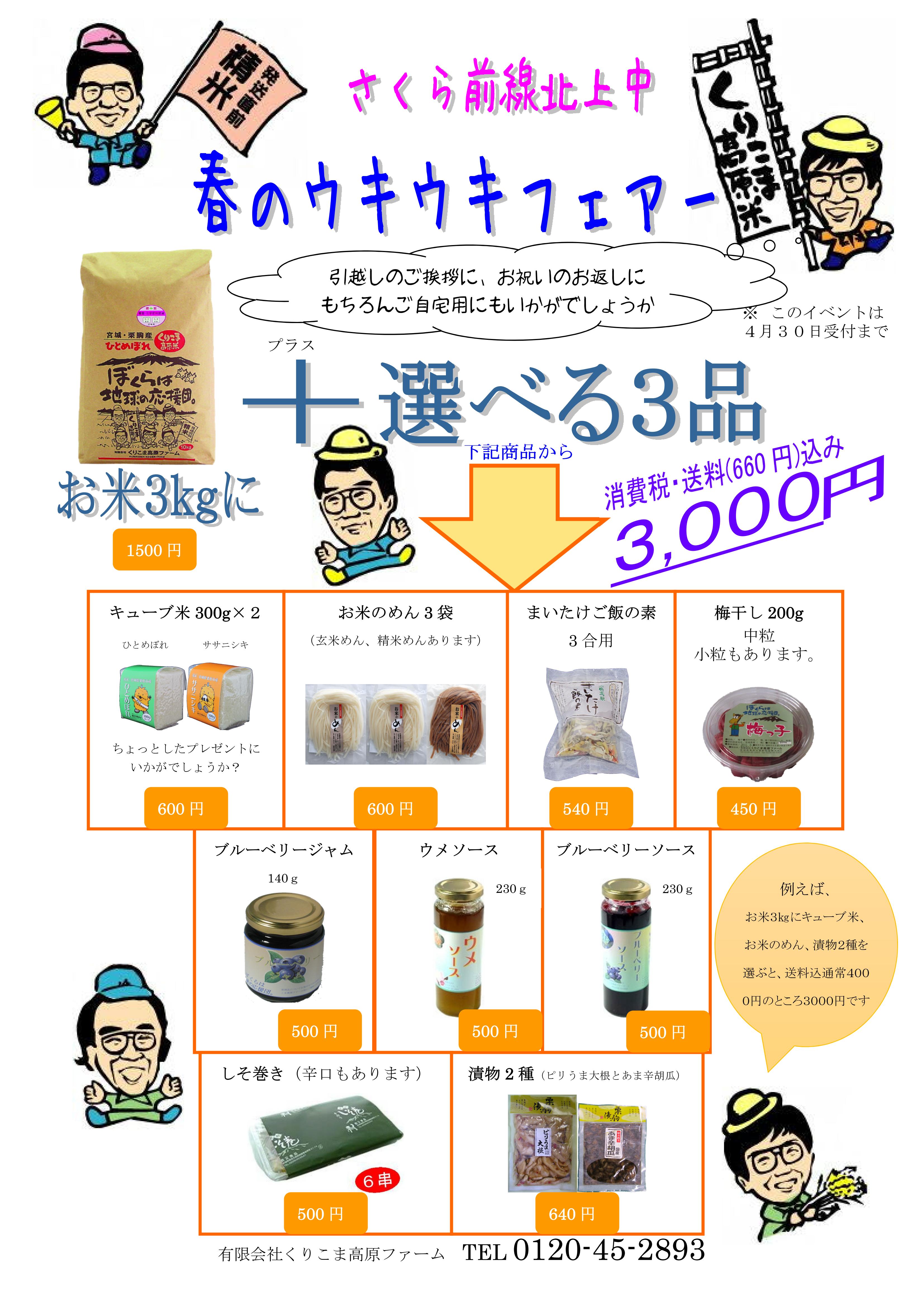 春のウキウキフェアーチラシ